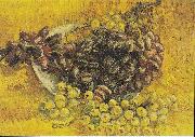 Vincent Van Gogh Still Life with Grapes oil painting reproduction